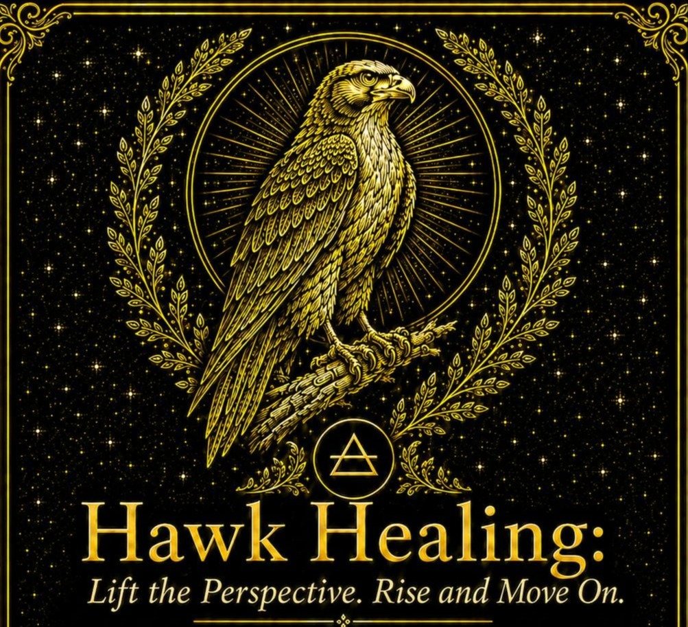 Hawk Healing: Lift the Perspective. Rise and Move On.