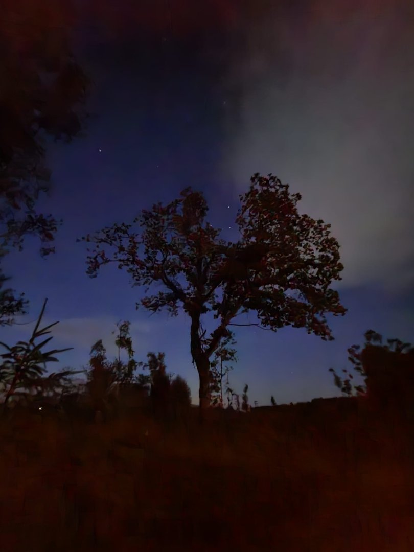 The Nest: Full Moon Illumination